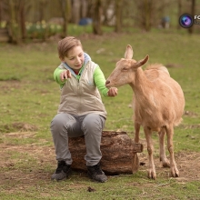 Vašíkovi se líbila koza